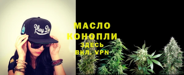 шишки Корсаков