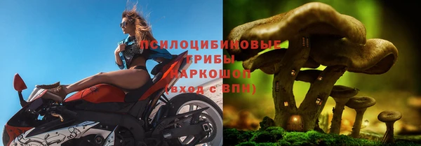 не бодяженный Волгодонск