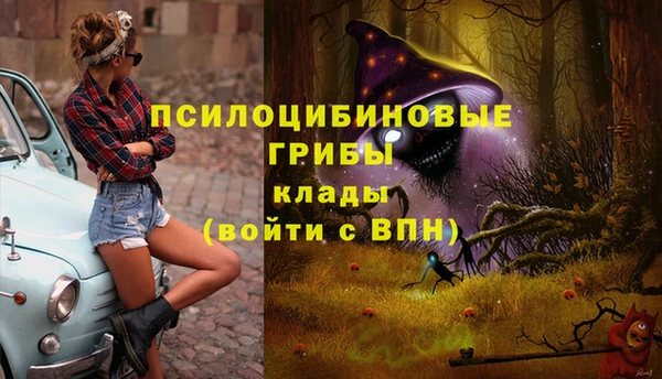 первитин Красноперекопск