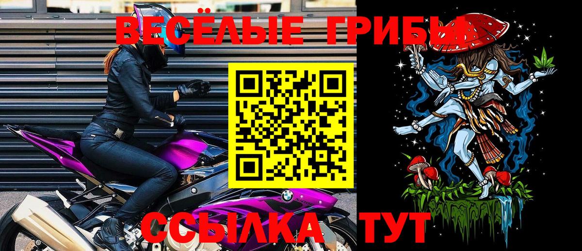Куйбышев  Псилоцибиновые грибы мицелий  Вход с VPN 