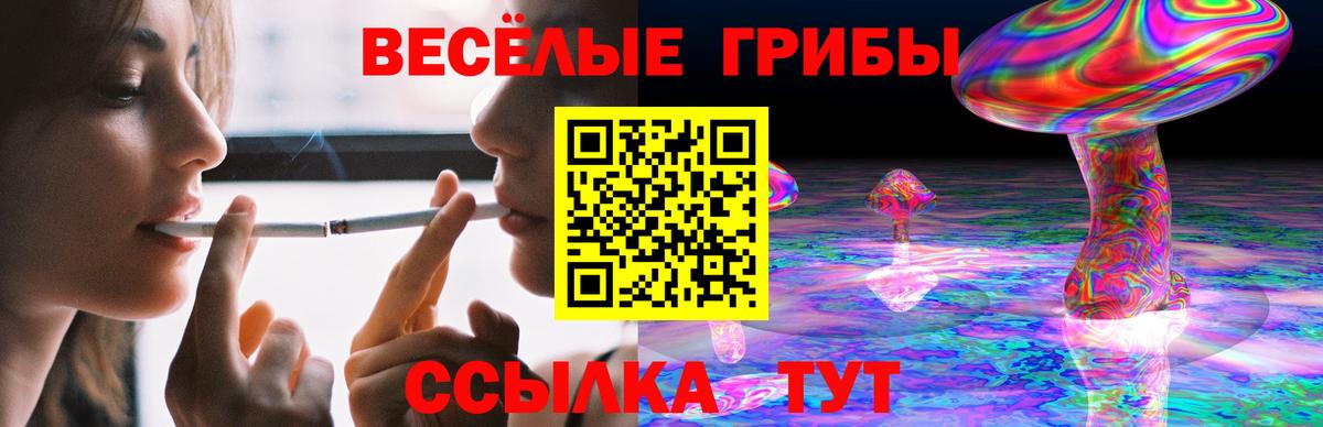 Псилоцибиновые грибы Psilocybine cubensis Куйбышев