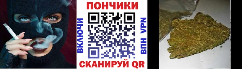 Шишки марихуана гибрид  Куйбышев 